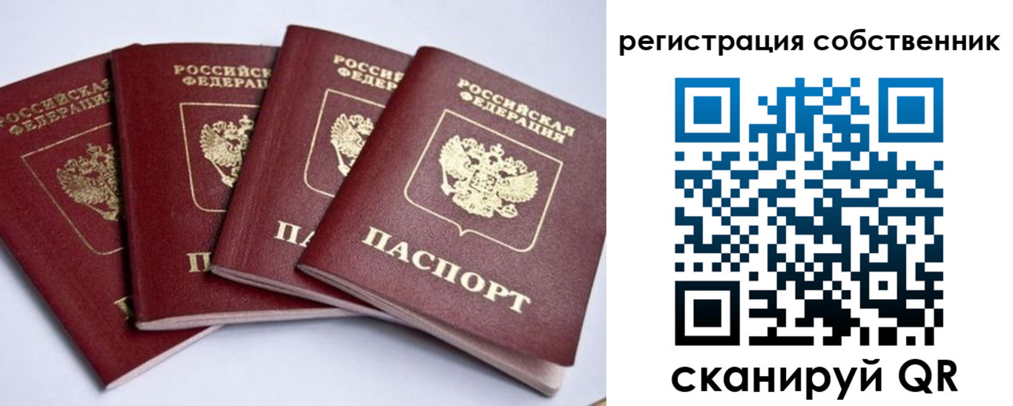 прописка гарантия в Братске